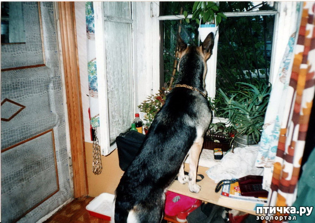 ���� 24: ������ ����.