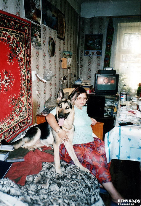 ���� 26: ������ ����.