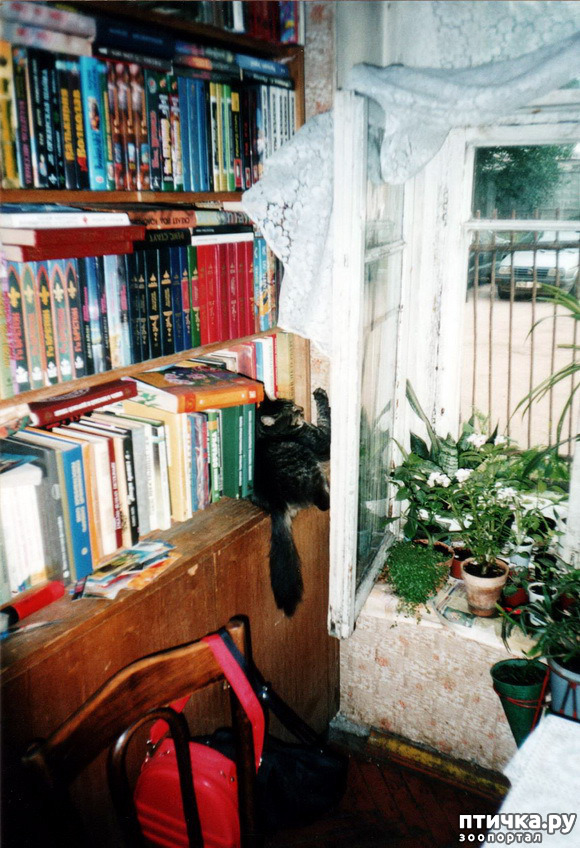 ���� 25: ������ ����.