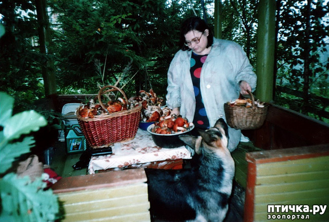 ���� 27: ������ ����.