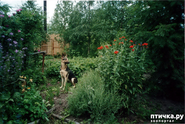 ���� 28: ������ ����.