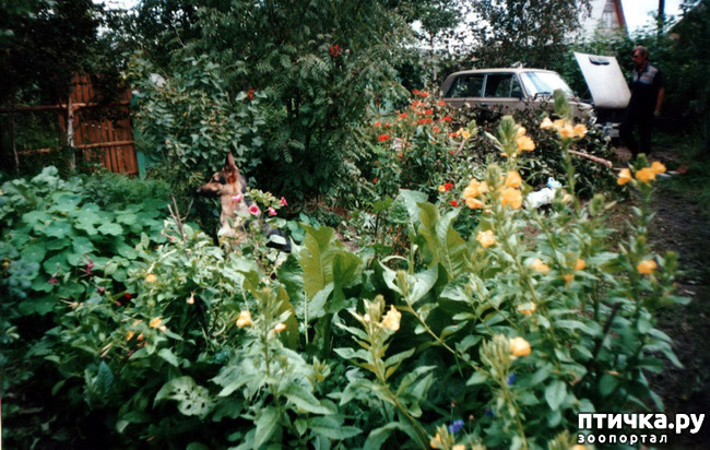 ���� 29: ������ ����.