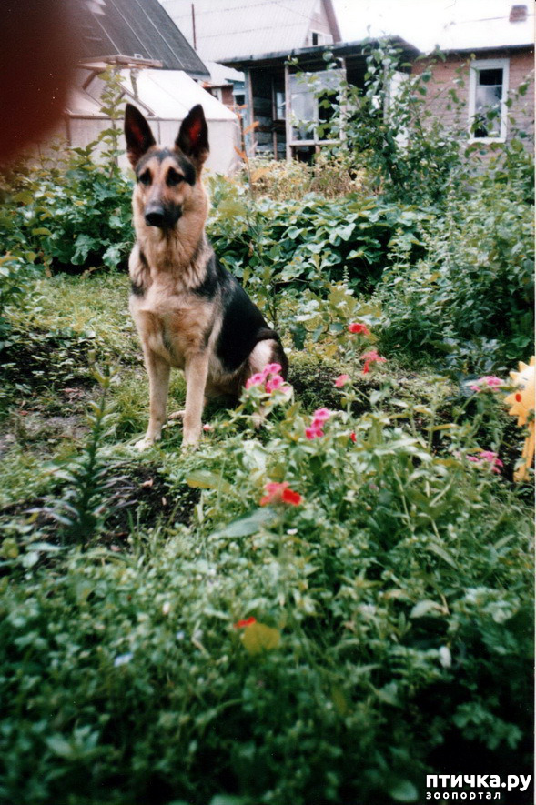 ���� 30: ������ ����.