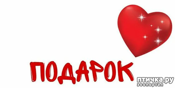 ���� 2: ��� �������������� ���������