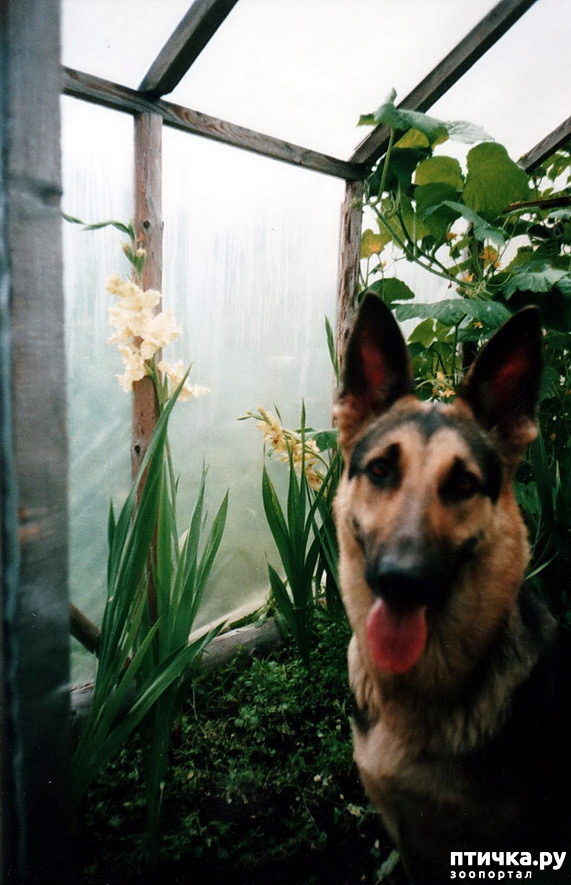 ���� 31: ������ ����.