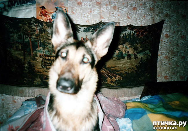 ���� 32: ������ ����.