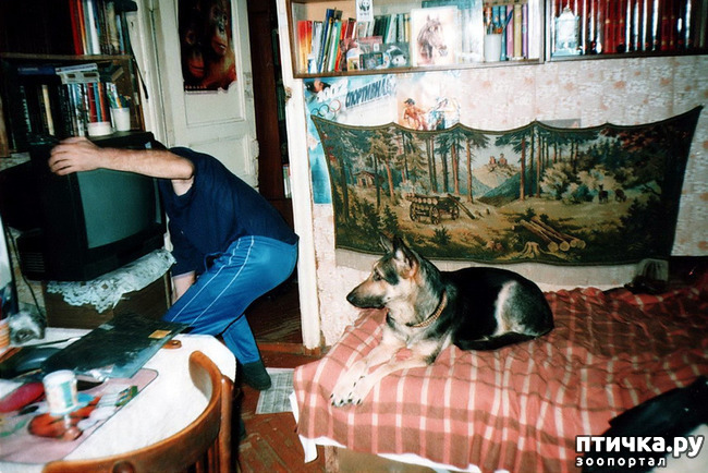 ���� 34: ������ ����.