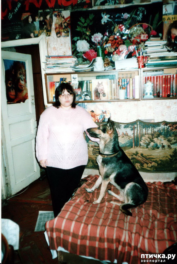 ���� 35: ������ ����.