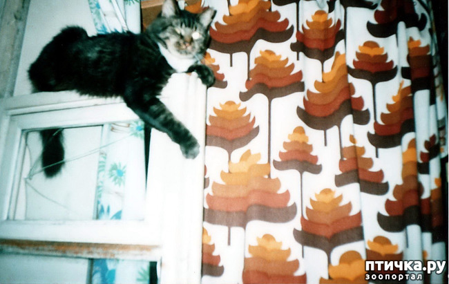 ���� 33: ������ ����.