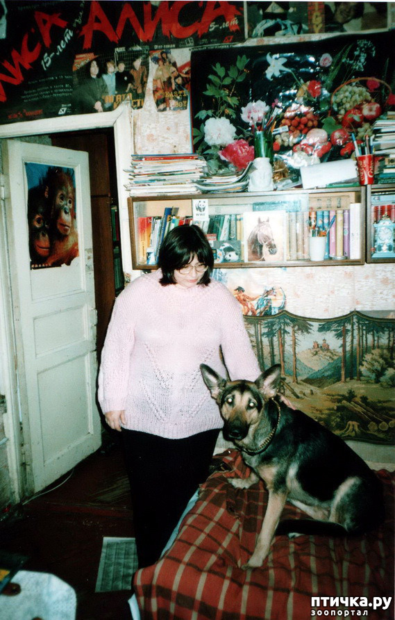 ���� 36: ������ ����.