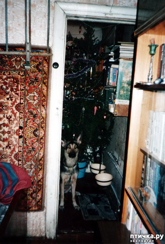 ���� 37: ������ ����.