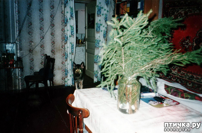 ���� 39: ������ ����.