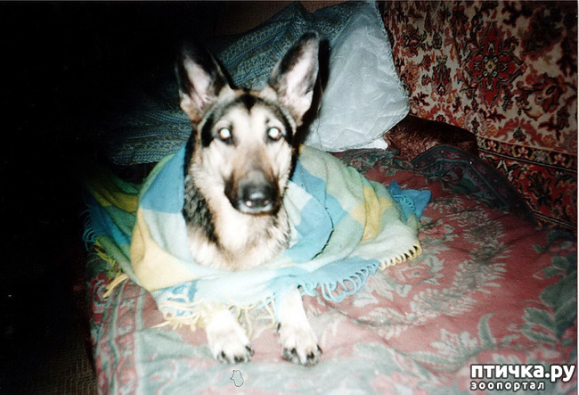 ���� 41: ������ ����.