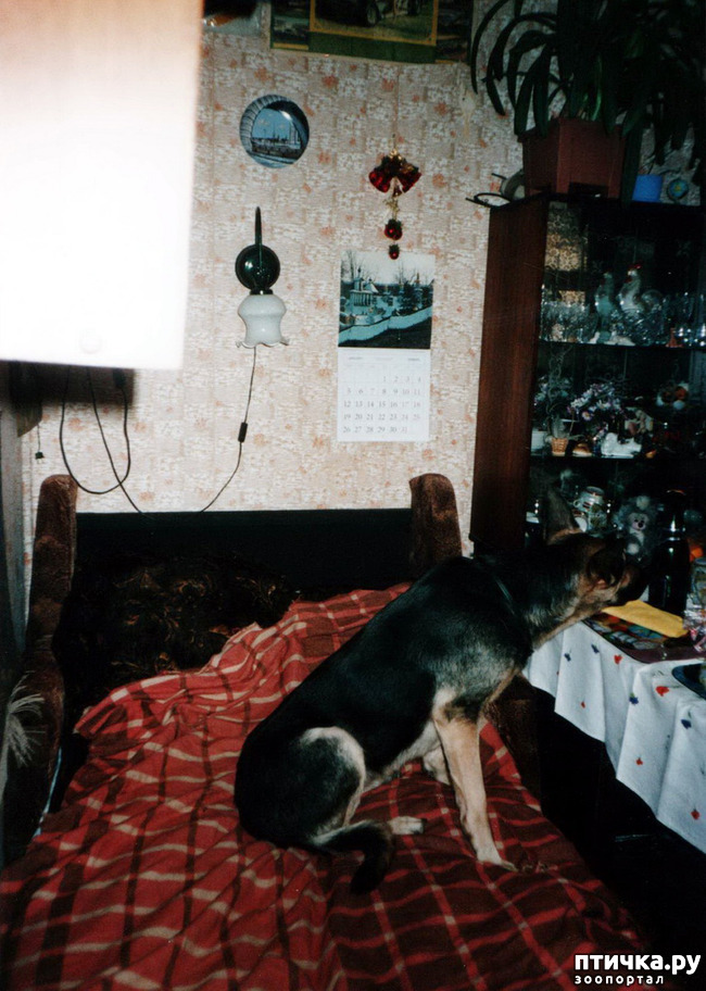 ���� 38: ������ ����.