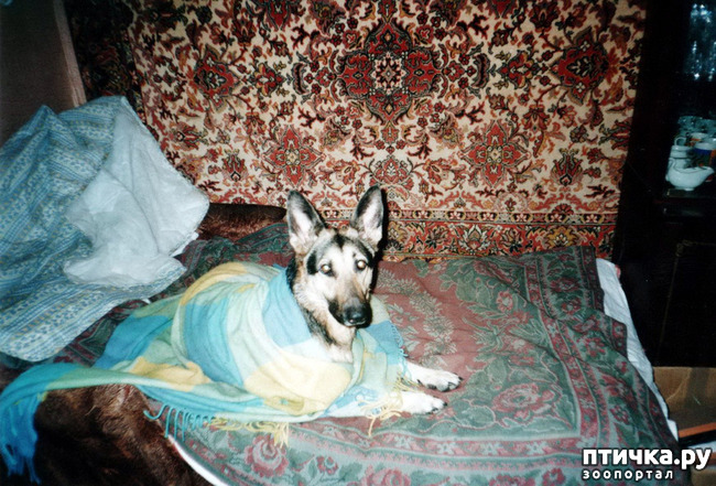 ���� 42: ������ ����.