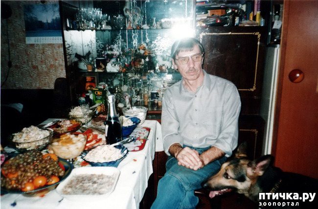 ���� 40: ������ ����.