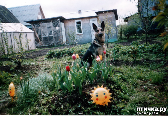 ���� 43: ������ ����.