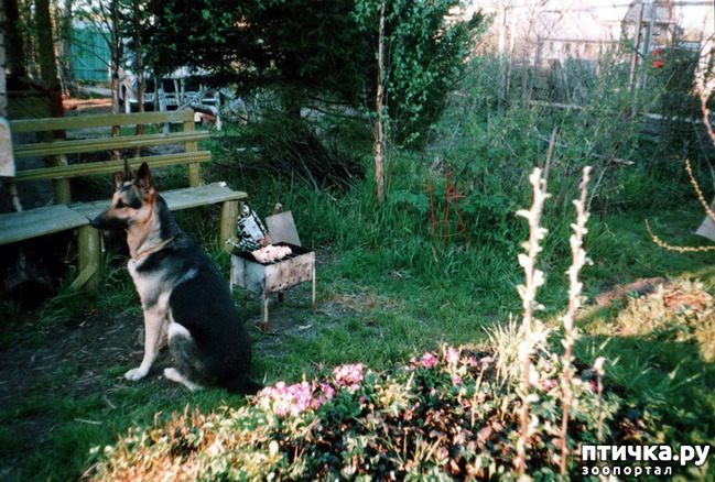 ���� 44: ������ ����.