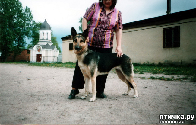 ���� 45: ������ ����.