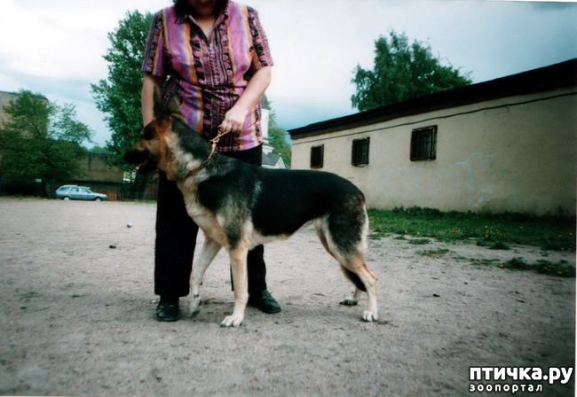 ���� 46: ������ ����.