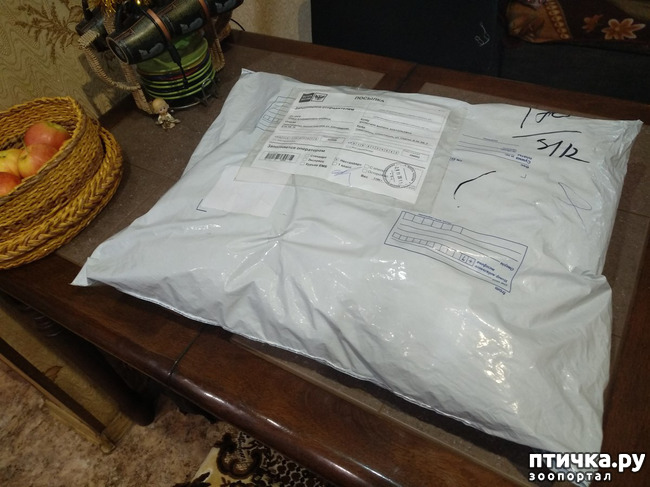 ���� 3: ��� �������������� ���������