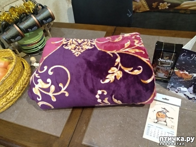 ���� 4: ��� �������������� ���������