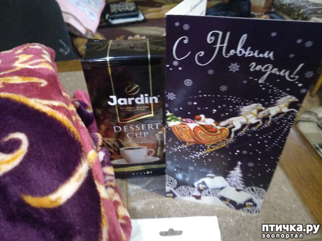 ���� 5: ��� �������������� ���������