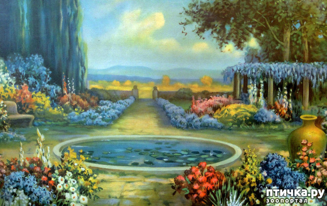 ���� 3: ����� ���� 3. �������, ���������� �������