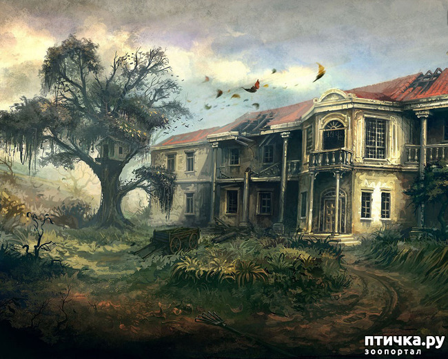 ���� 5: ����� ���� 3. �������, ���������� �������