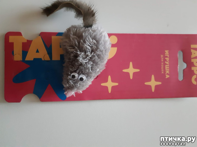 ���� 3: ������ ���������� ���� ������