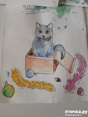 фотография: Второе пришествие деда Мороза фото: Второе пришествие деда Мороза