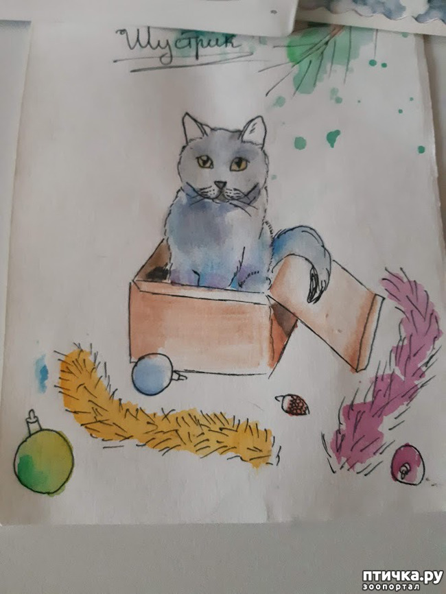 ���� 1: ������ ���������� ���� ������