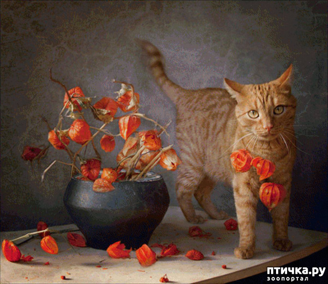 ���� 4: ����� ���� 3. �������, ���������� �������