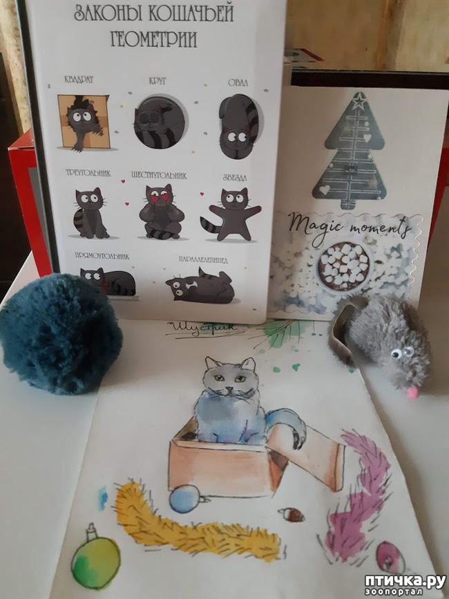 ���� 4: ������ ���������� ���� ������