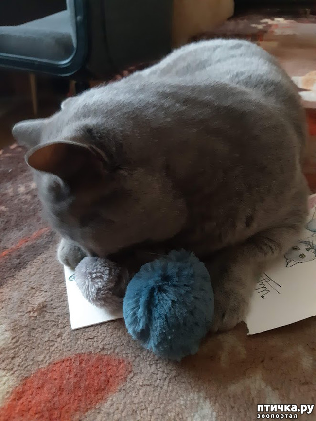 ���� 5: ������ ���������� ���� ������