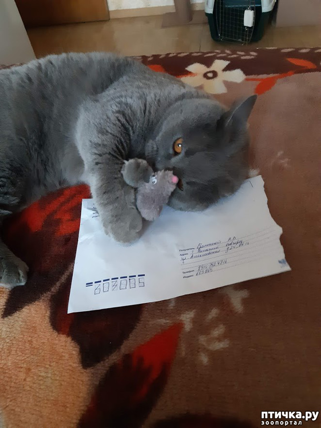 ���� 6: ������ ���������� ���� ������