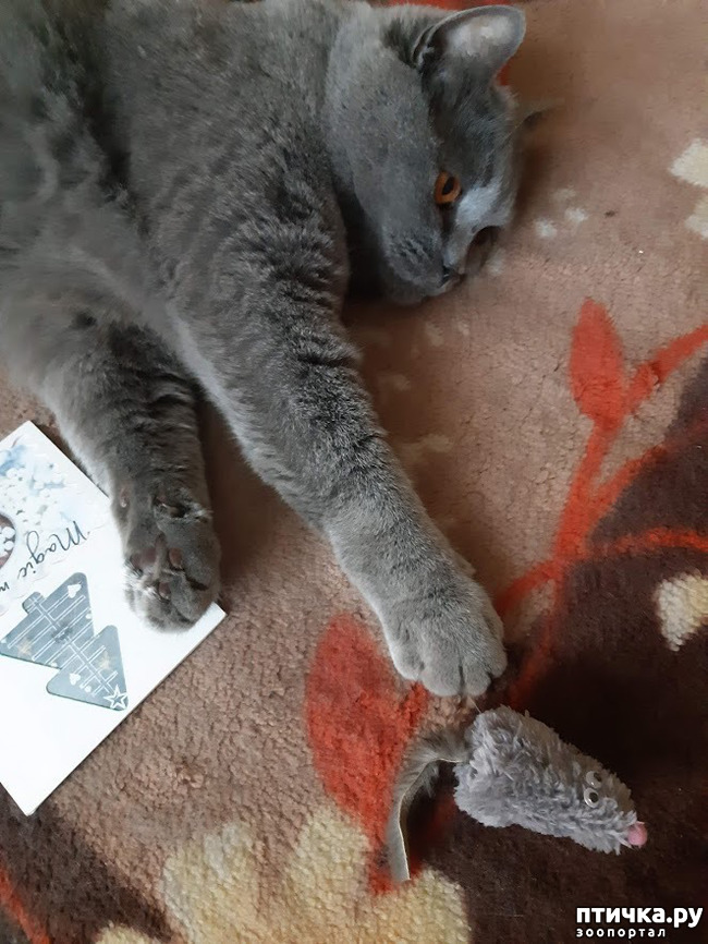 ���� 8: ������ ���������� ���� ������