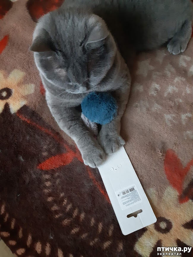 ���� 9: ������ ���������� ���� ������