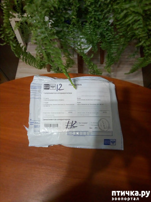 фотография: И у меня есть чем хвастаться!!!))) фото: И у меня есть чем хвастаться!!!)))