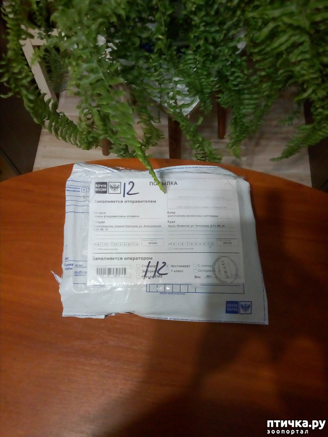 ���� 1: � � ���� ���� ��� ����������!!!)))