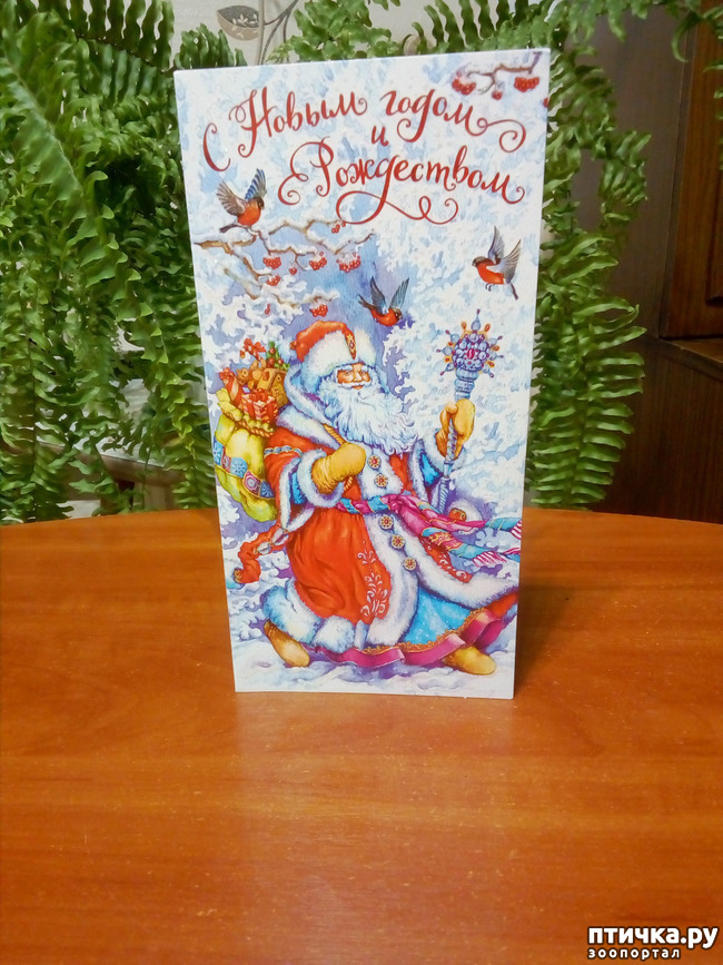 ���� 2: � � ���� ���� ��� ����������!!!)))