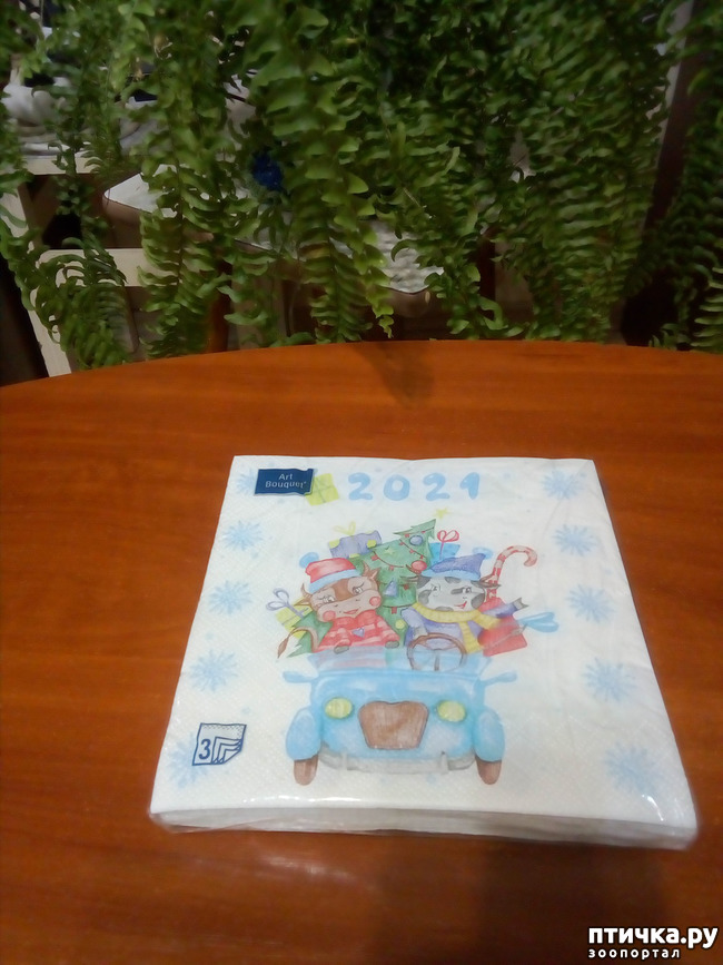 ���� 4: � � ���� ���� ��� ����������!!!)))