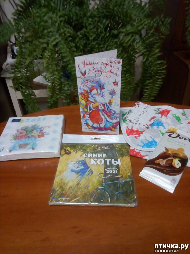 ���� 7: � � ���� ���� ��� ����������!!!)))