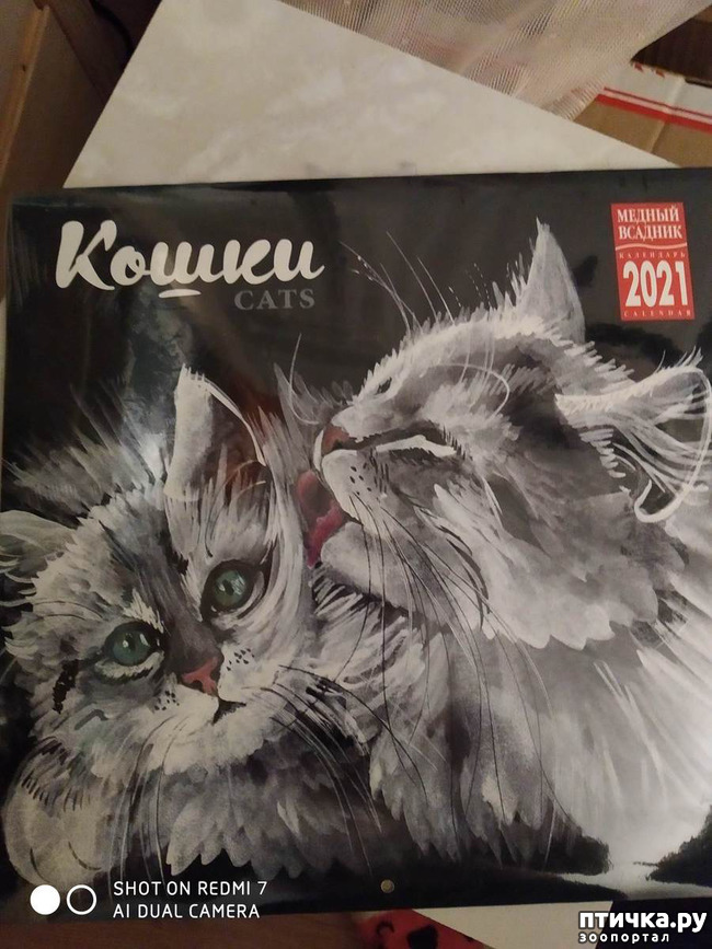 ���� 6: ���! ����� ���������� ������!