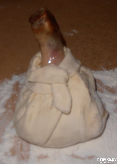 ���� 8: ������ � ������ �������� ����� ���!