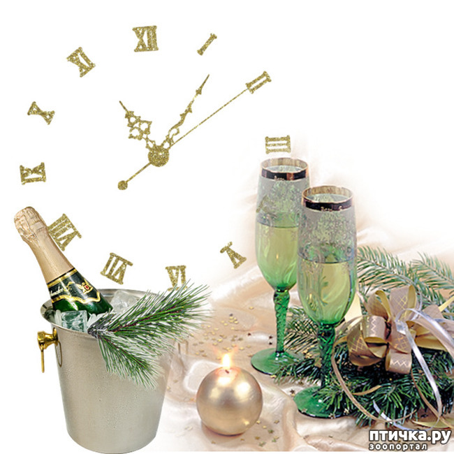 ���� 12: ������ � ������ �������� ����� ���!