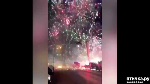 Почему колонка салют горит красным цветом. Салют пожар. пожар на складе с салютами. сгорел склад с фейерверками в ростове на дону.