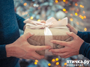 фотография: Ура! Итоги Новогодней сказки! фото: Ура! Итоги Новогодней сказки!