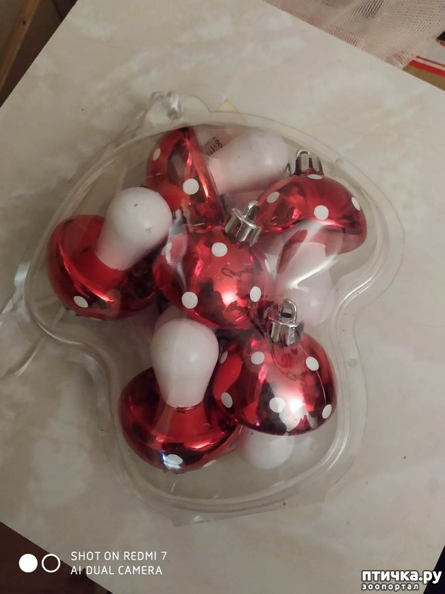 ���� 2: ���! ����� ���������� ������!