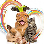 ���� 2: ����� 180-�� ������, ��� ��������� �� �������)))